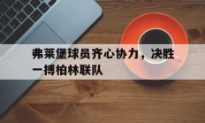 九游娱乐下载-包含弗莱堡球员齐心协力，决胜一搏柏林联队的词条