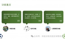 九游娱乐活动-足球比赛中的技战术分析引发热议的简单介绍