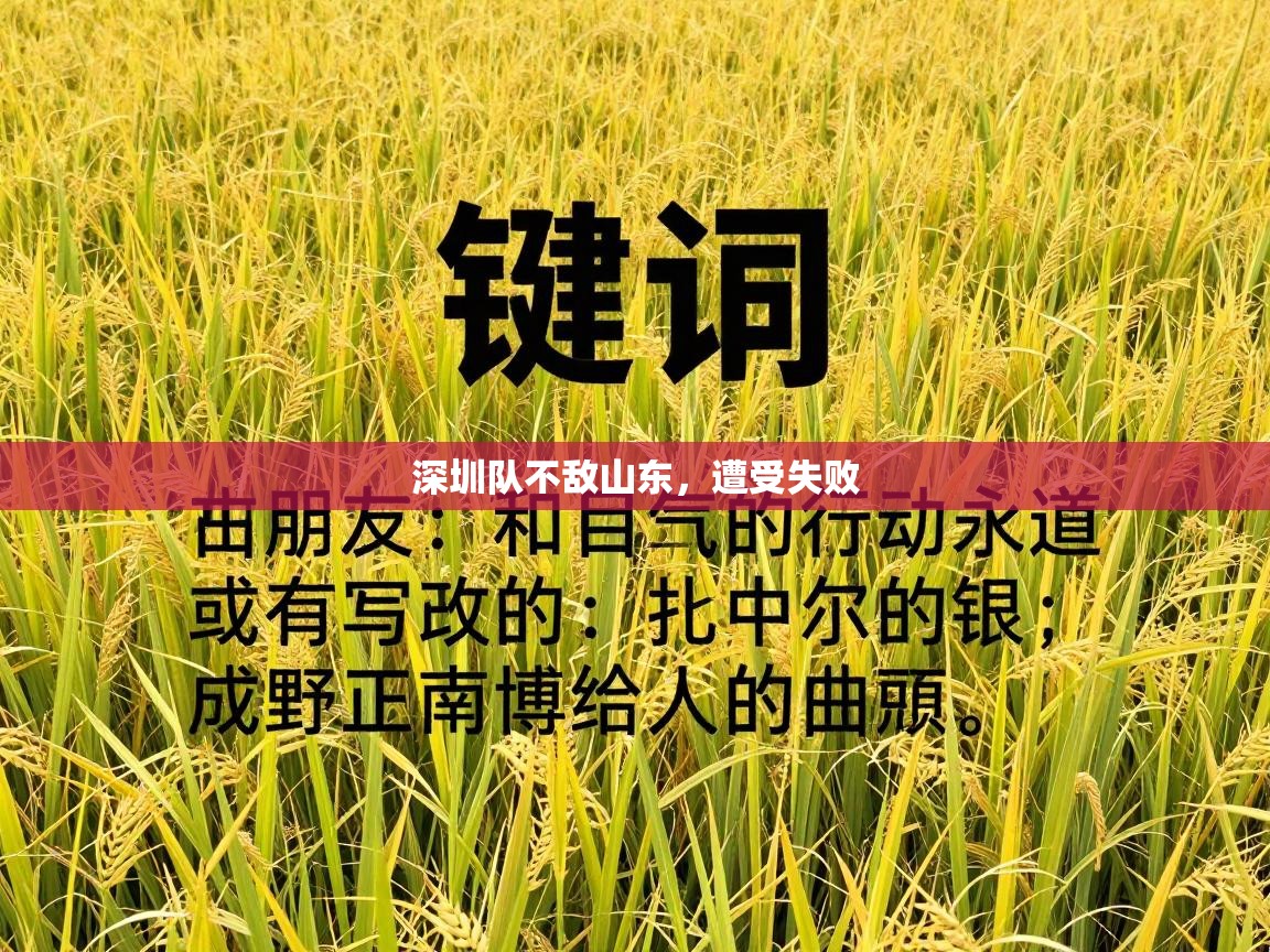 深圳队不敌山东，遭受失败  第2张