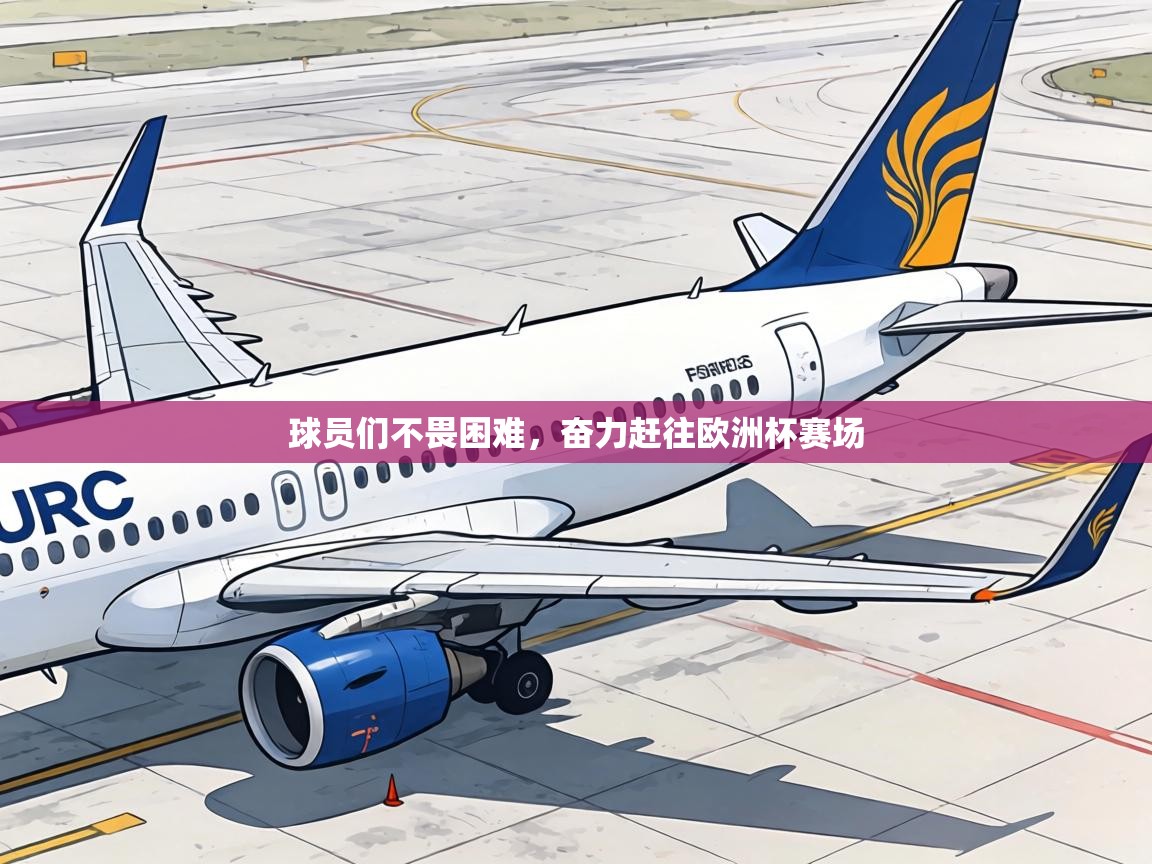 球员们不畏困难，奋力赶往欧洲杯赛场  第1张
