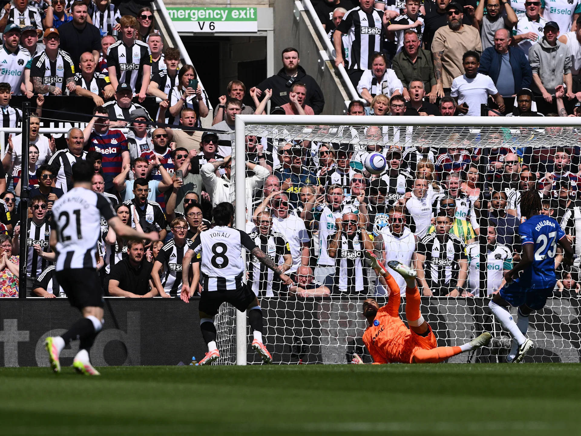 阿森纳门将出色守门，助球队主场击败纽卡斯尔